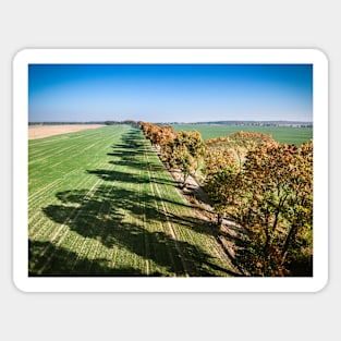 Alley of autumn trees among green fields in countryside Sticker